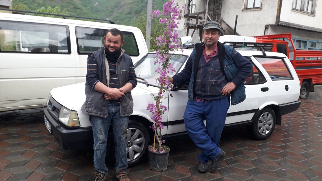 İnsanlara Stres Attıran Çiçek