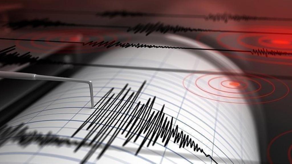 Bingöl'deki Deprem Doğankent'te Hissedildi.
