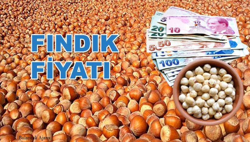 Fındık kaç lira