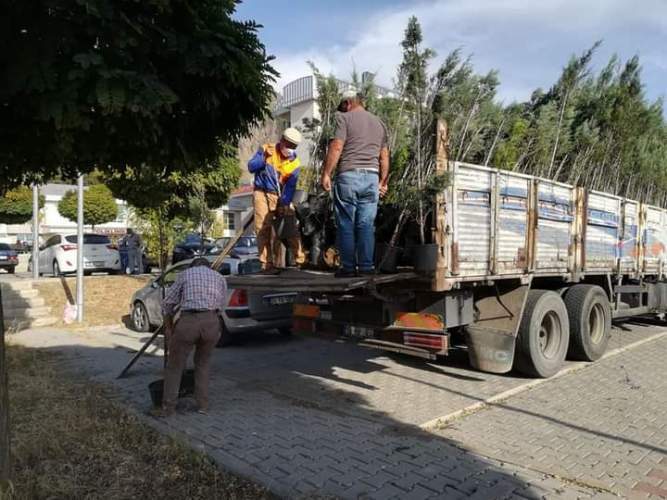 Şebinkarahisar Toçder İle Farklı Güzel