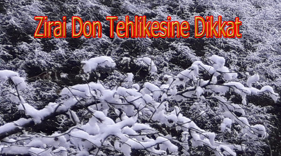 Zirai Don Tehlikesine Dikkat
