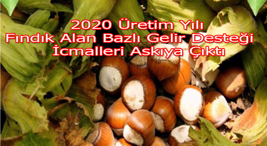 2020 Üretim Yılı Fındık Alan Bazlı Gelir Desteği İcmalleri Askıya Çıktı