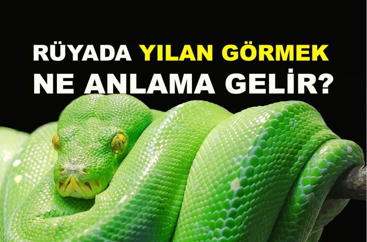 ruyada yilan gormek ne anlama gelir ruya tabiri