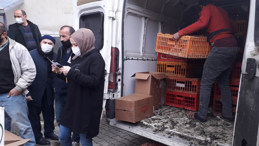 Doğankent Ziraat Odası kanatlı hayvan dağıtımı yaptı