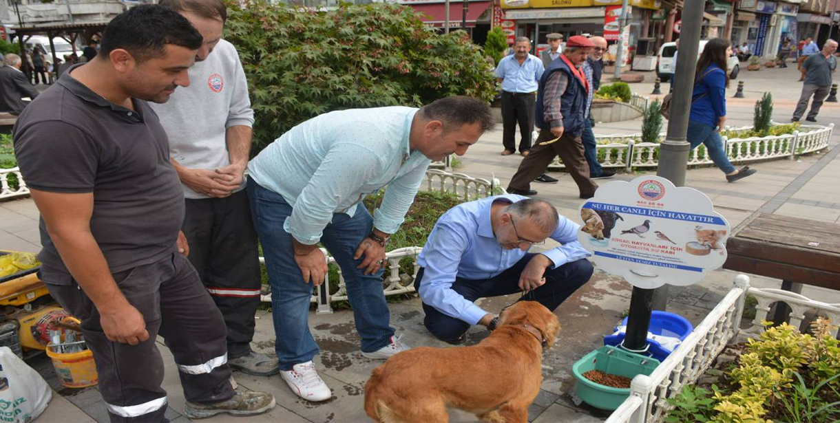 Başkan Yakar'ın hayvanları koruma günü mesajı