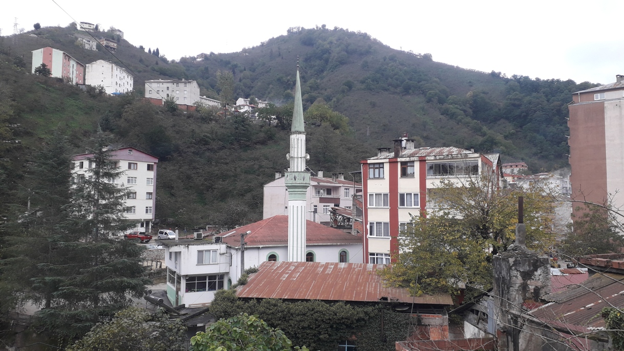 Doğankent Resimleri 26/10/2021