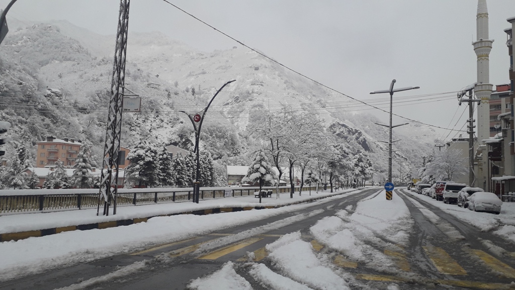 Doğankent'ten Kar Manzaraları