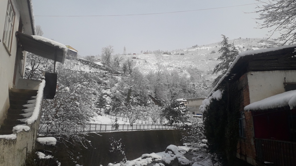 Doğankent'ten Kar Manzaraları