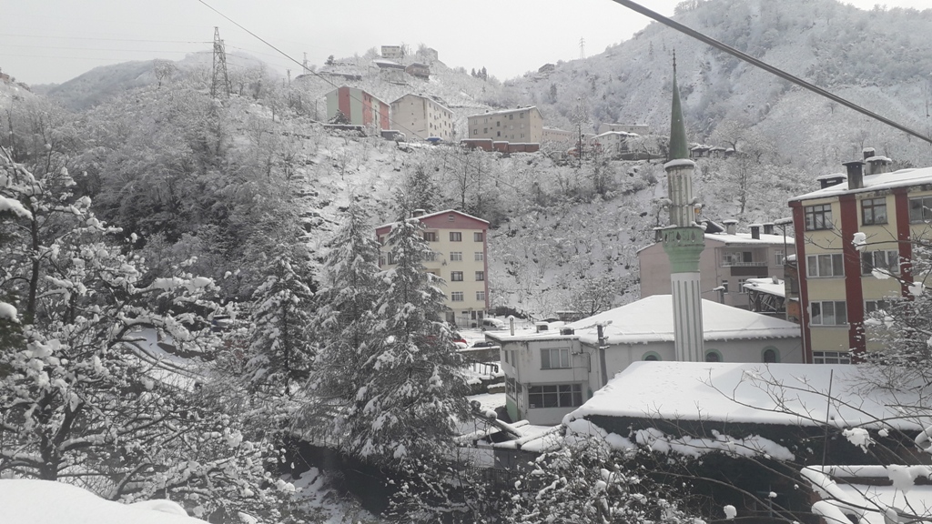 Doğankent'ten Kar Manzaraları