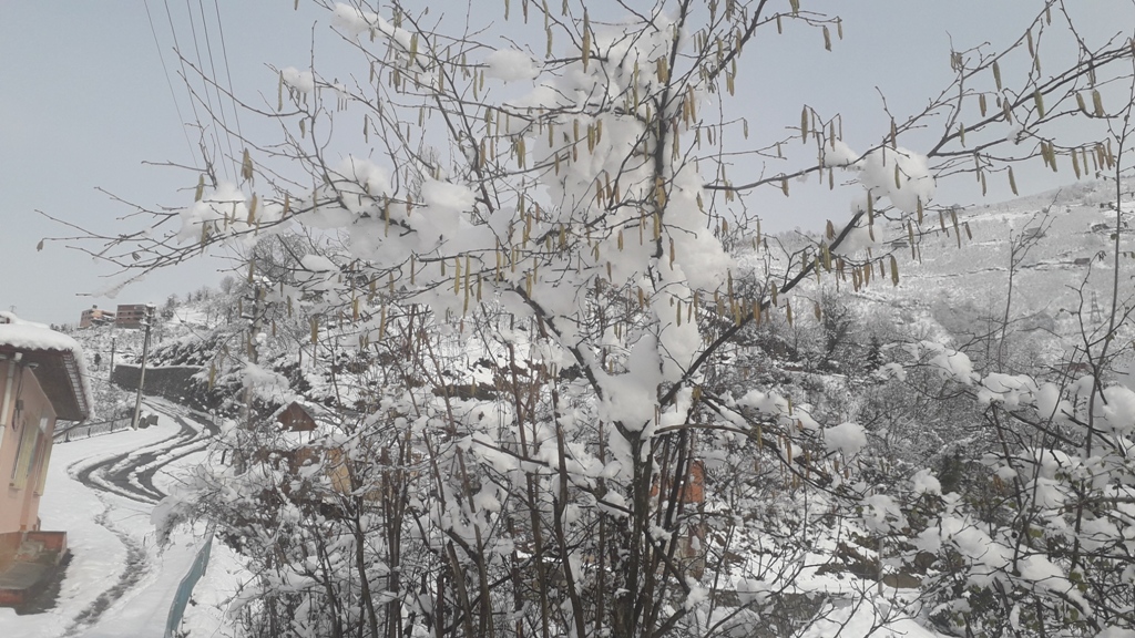Doğankent'ten Kar Manzaraları