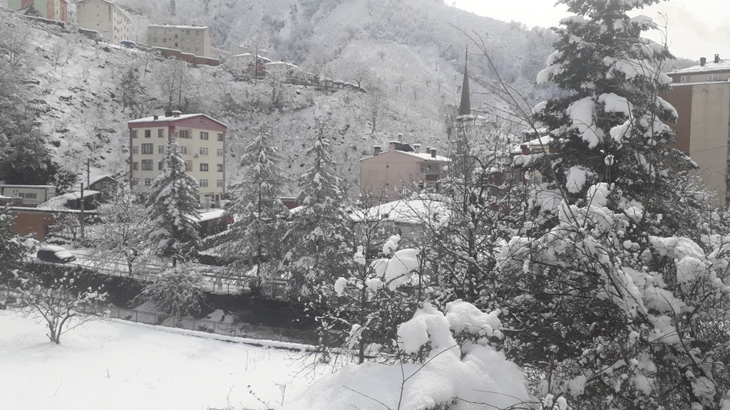 Doğankent'ten Kar Manzaraları