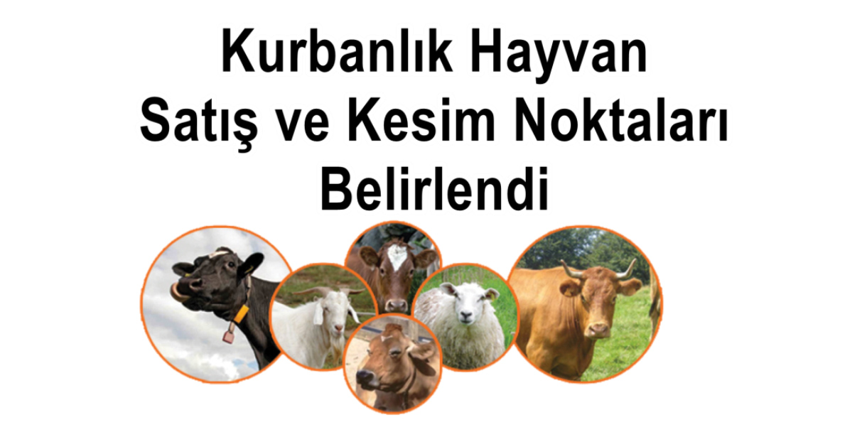 Kurbanlık Hayvan Satış ve Kesim Yerleri Belirlendi