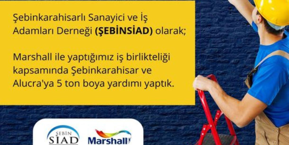 ŞEBİNSİAD Şebinkarahisar'ı Boyadı