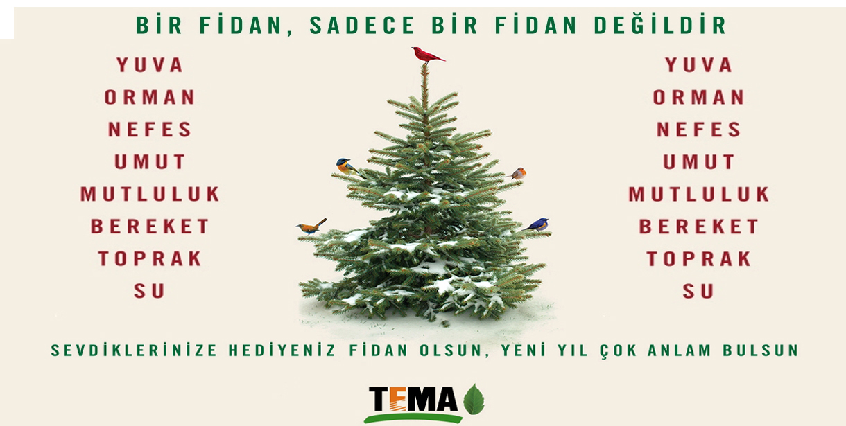 TEMA Vakfı'ndan yeni yılda fidan bağışı çağrısı