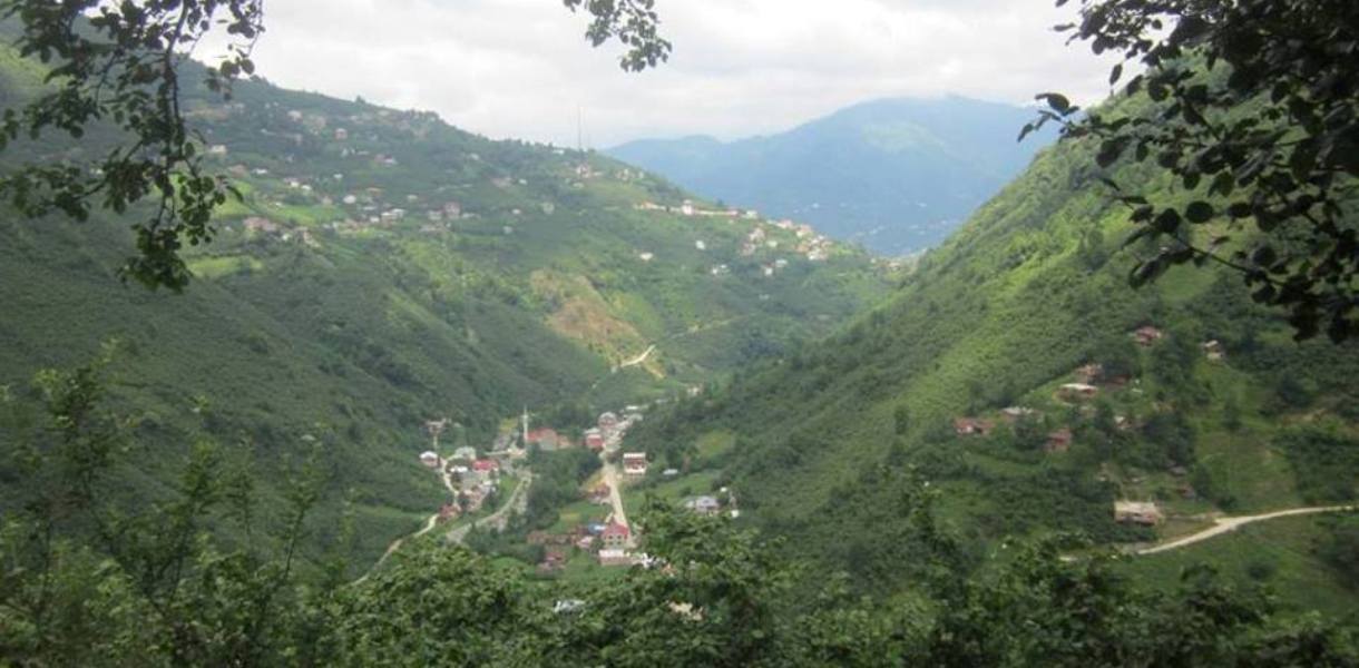 Doğankent Süttaşı Mahallesi İhtiyar Heyeti