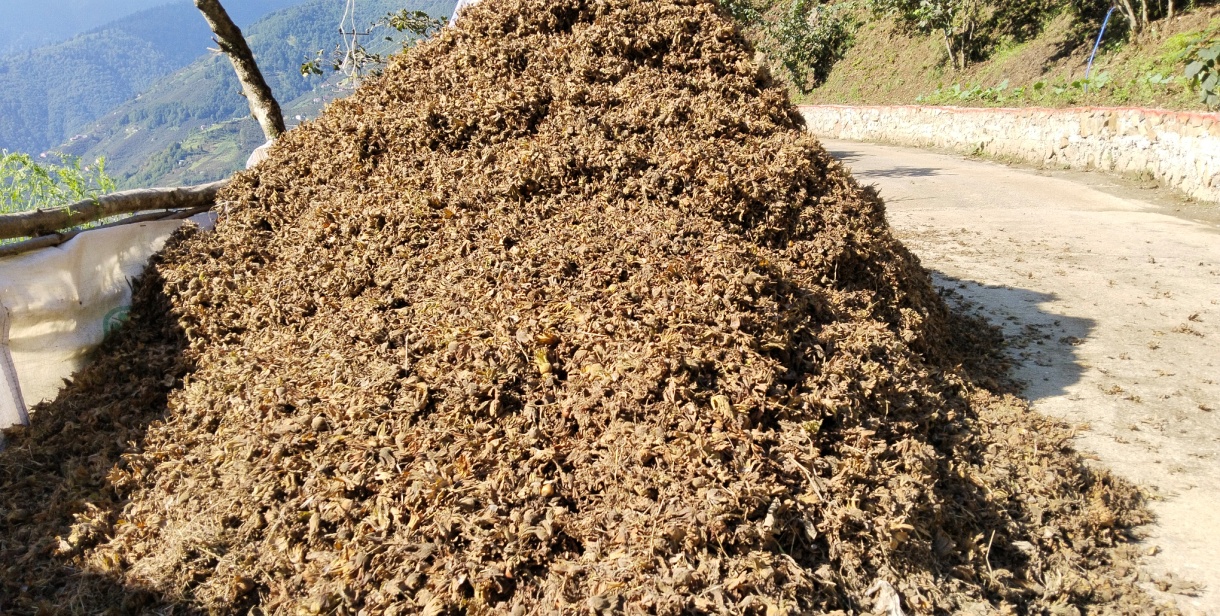 Yol Kenarlarındaki Fındık Atıkları