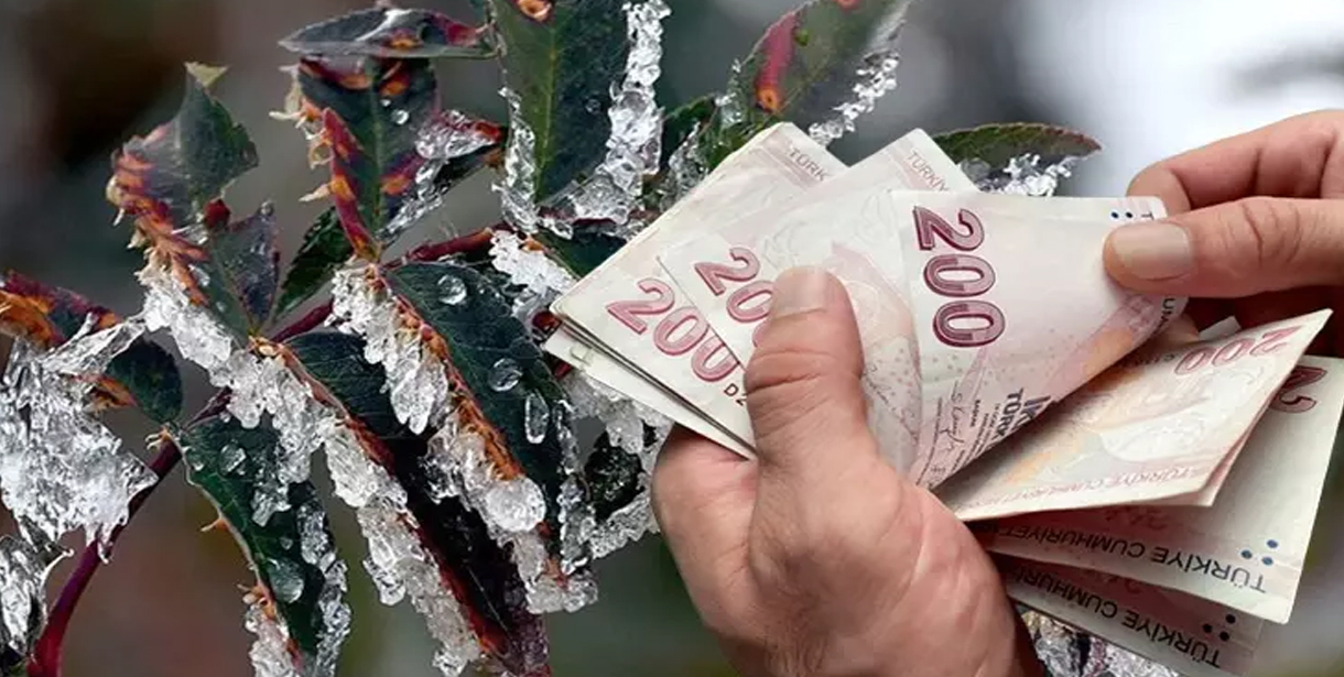 Zirai don felaketinden etkilenen çiftçilere destek verilecek