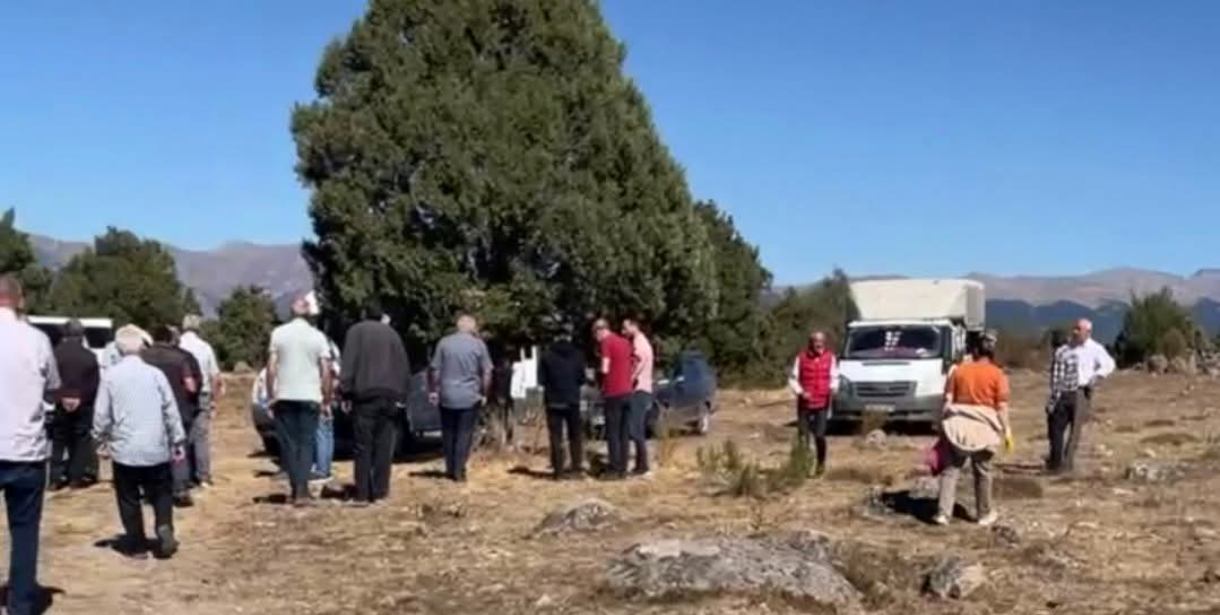Alucra Parak Köyü Yaylasında Orman Vasfı İncelemesi Yapıldı