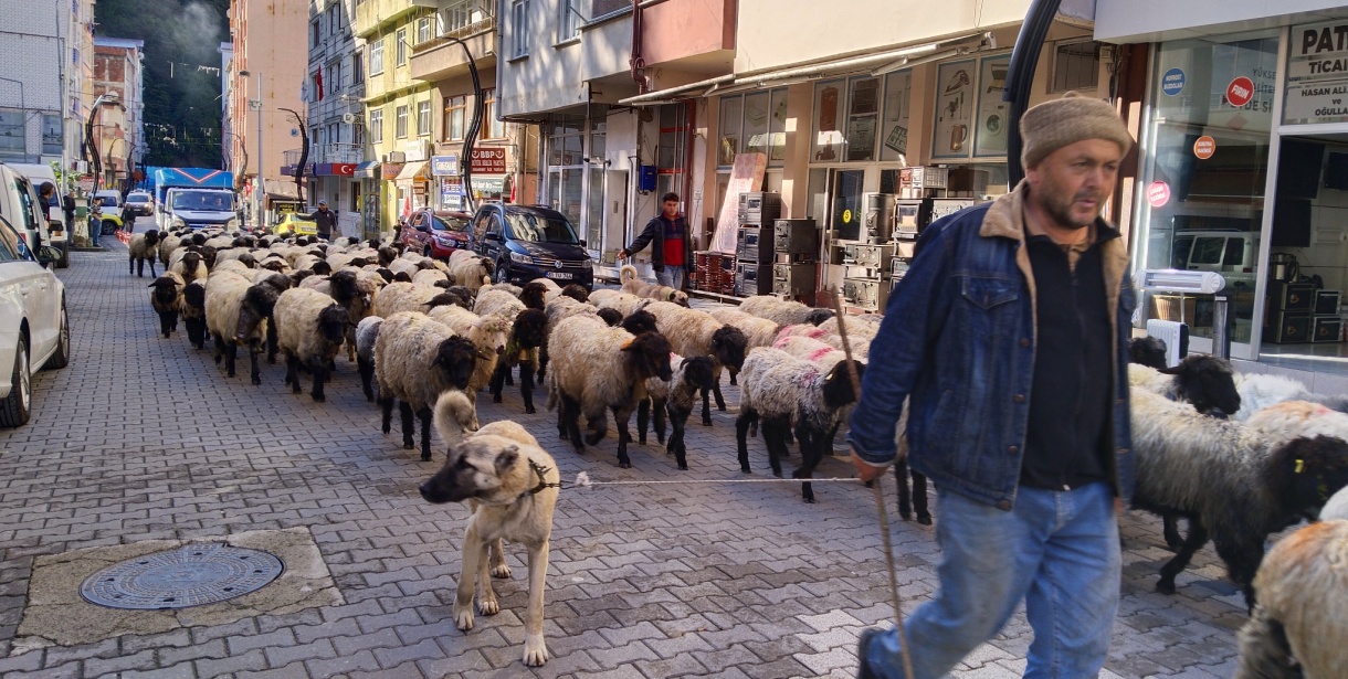 Yaylacılar dönüş yolunda