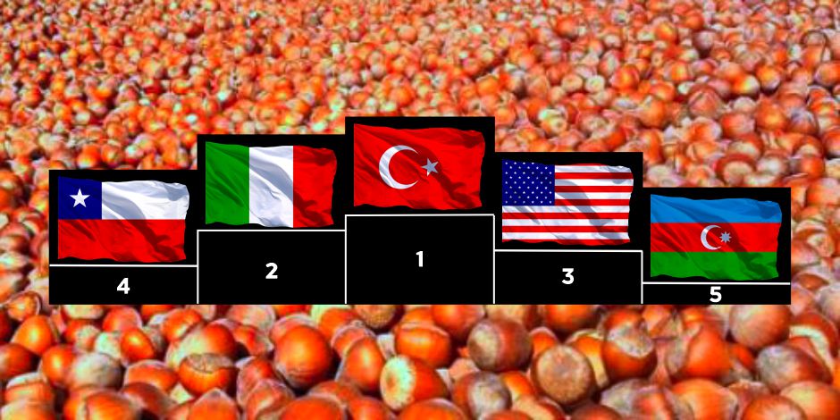 Fındık Üretiminde Lider Ülke, Türkiye…