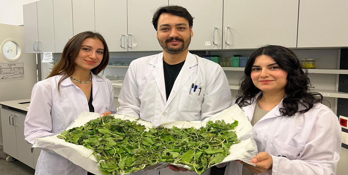 BİLGİ'li öğrenciler antibiyotik direncine karşı yenilikçi ve doğal bir yöntem geliştirdi