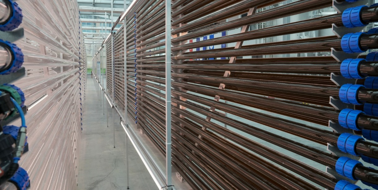 Boğaziçi Üniversitesi Küresel Bir Projeye İmza Atıyor