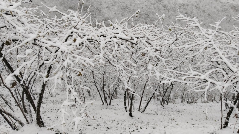 Köylerden Kar Manzaraları