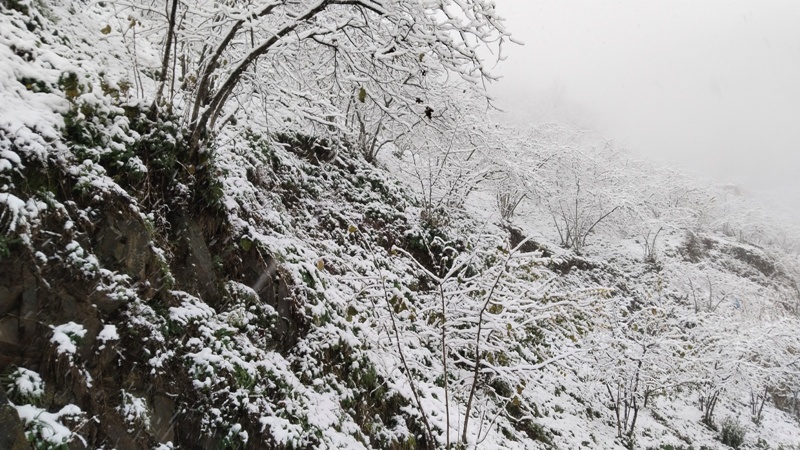 Köylerden Kar Manzaraları