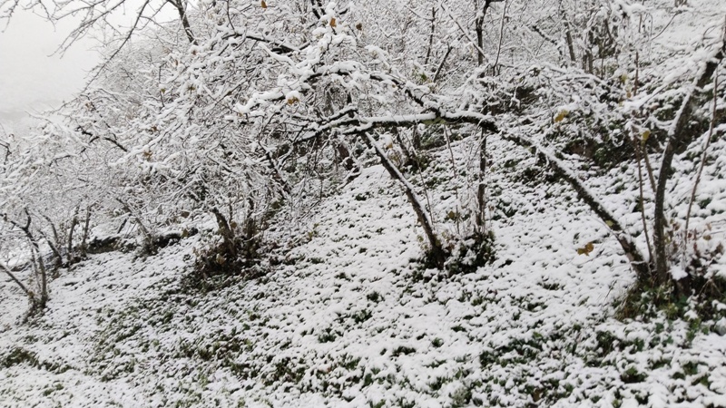 Köylerden Kar Manzaraları