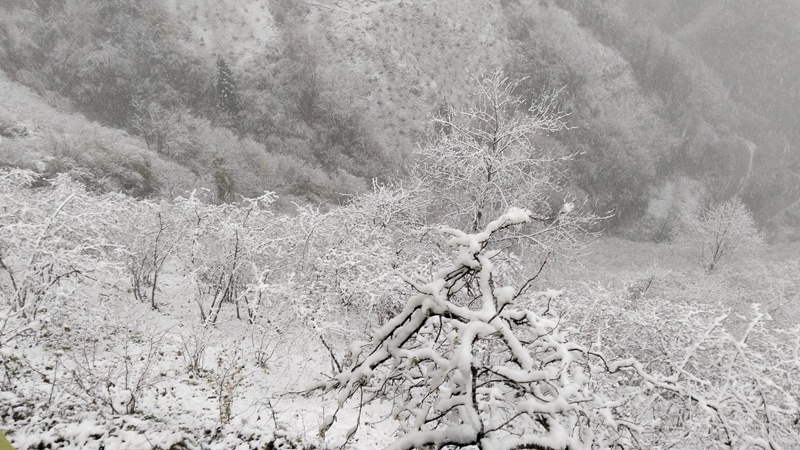Köylerden Kar Manzaraları