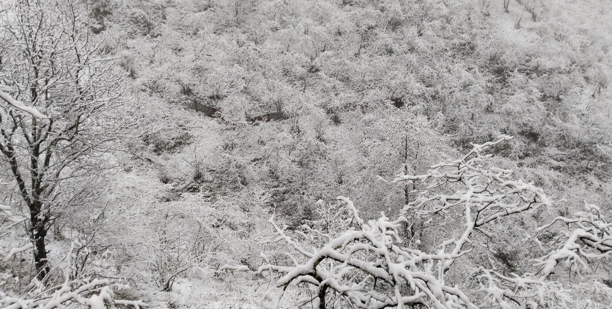 Doğankent'in Köyleri Beyaza Büründü