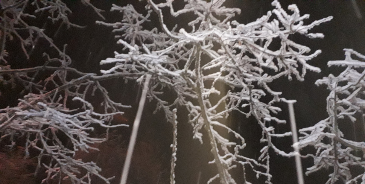 Doğankent'te Kar Yağışı Etkisini Artırdı, İlçe Beyaza Büründü