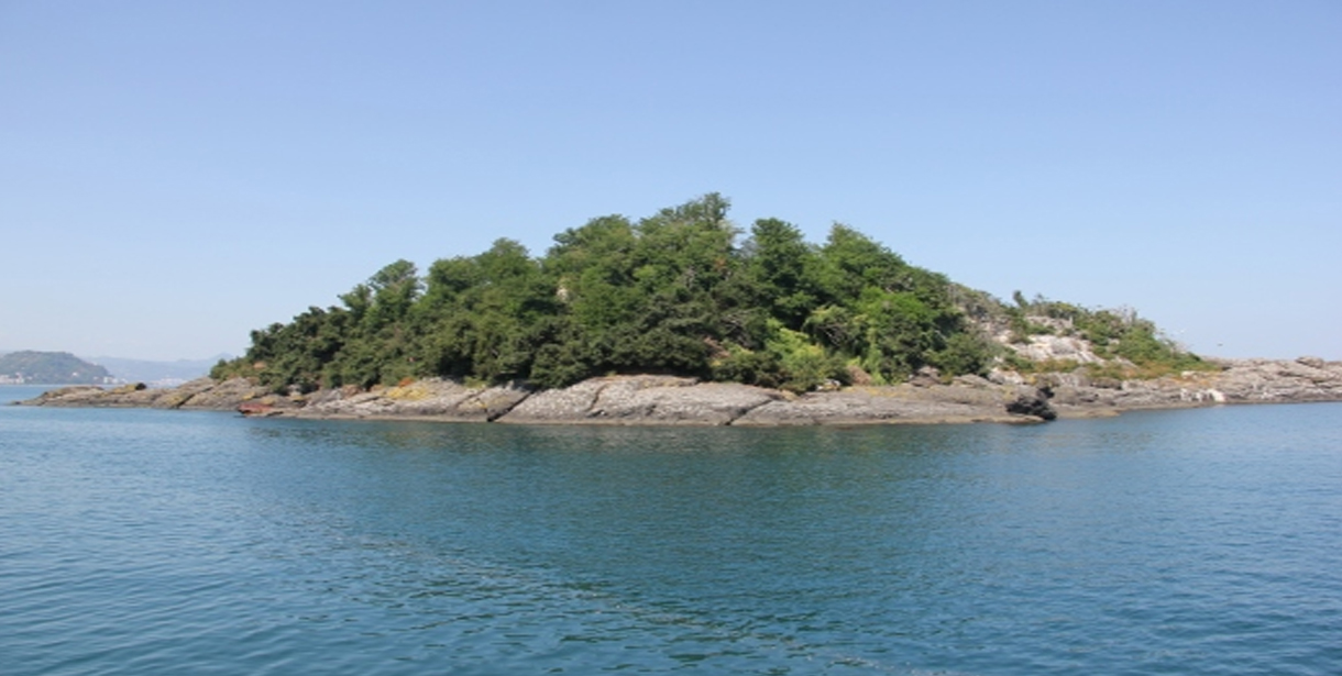 Türkiye'nin Denizleri ve Boğazları