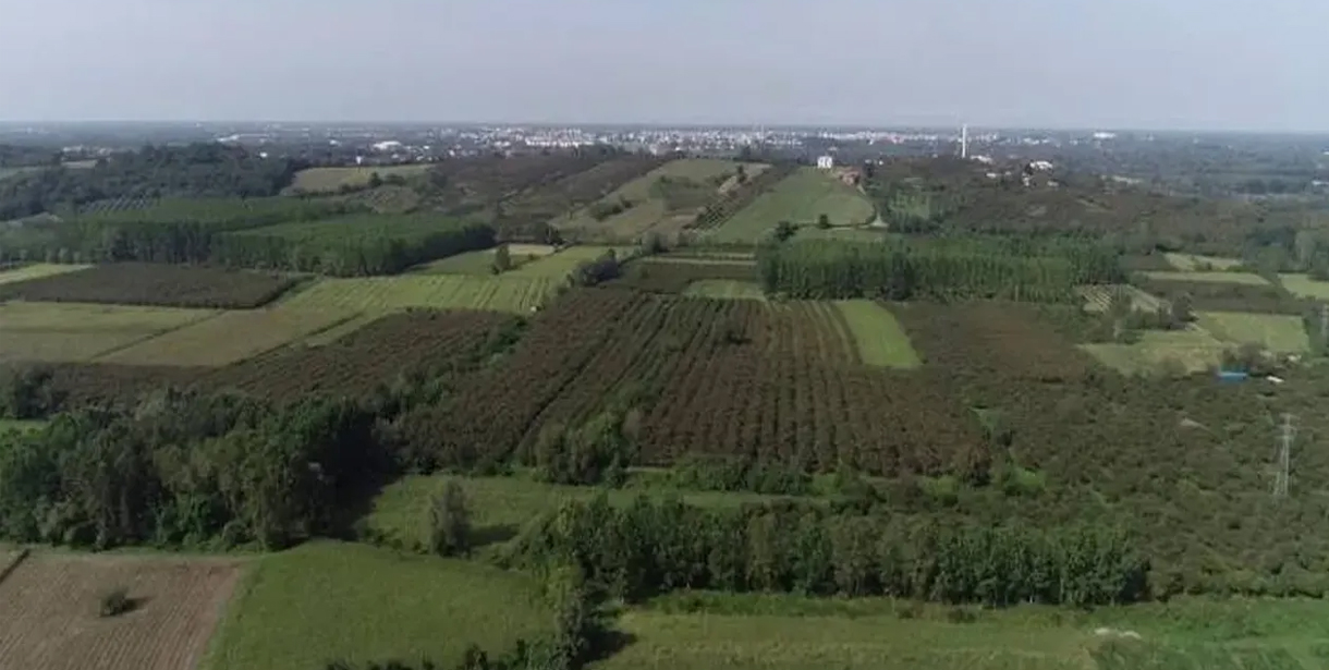 Türkiye'nin Ovaları, Konumları, Oluşumları ve Tarımsal Önemi