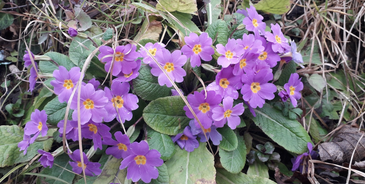 3. Cemre Toprağa Düştü