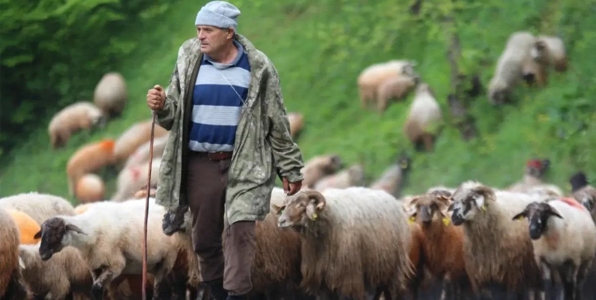 Yaylalarda Yeni Dönem, Kurallara Uymayana 3 Kat Ceza