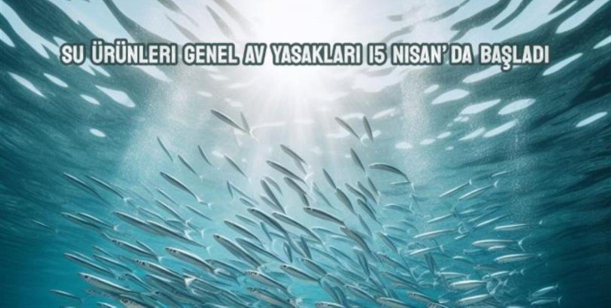 Denizlerde Genel Av Yasakları 15 Nisan'da Başlıyor