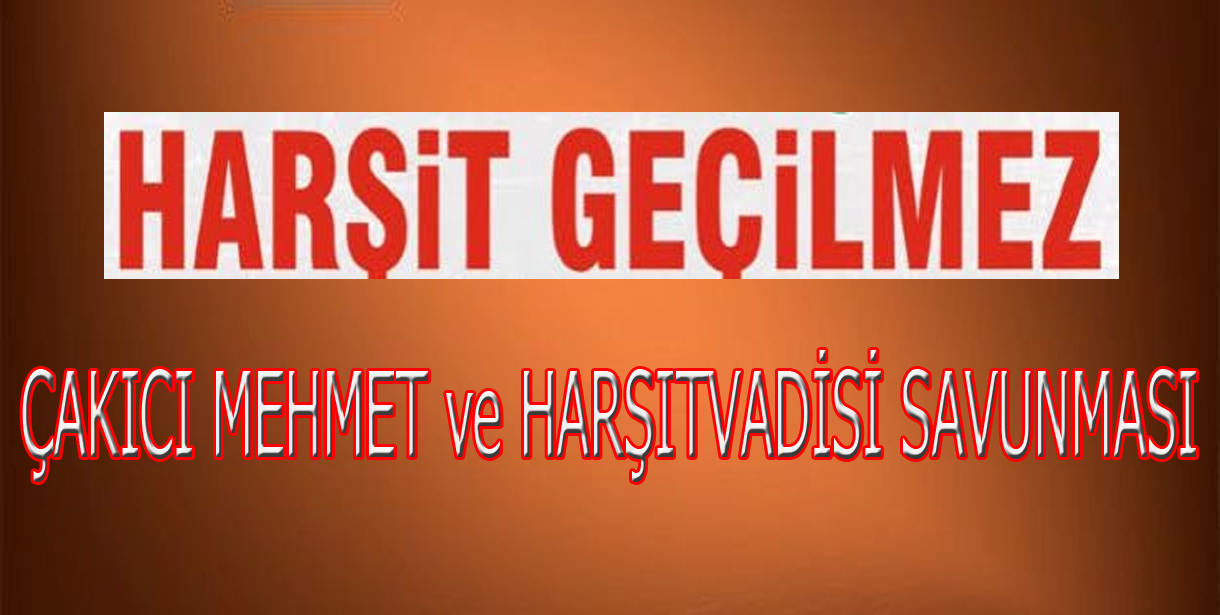Çakıcı Mehmet'in Hayatı ve Faaliyetleri Üzerine Bir Değerlendirme
