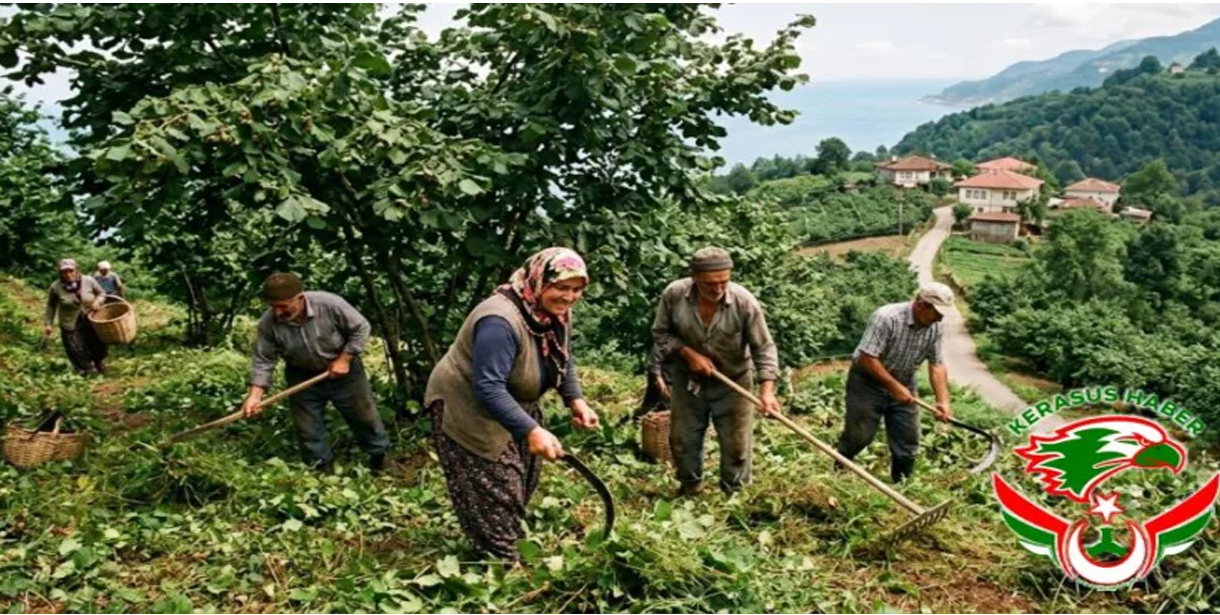 Tirebolu'dan Çevre ve Sağlık Çağrısı