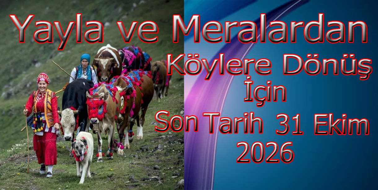Dönüş İçin Son Tarih 31 Ekim